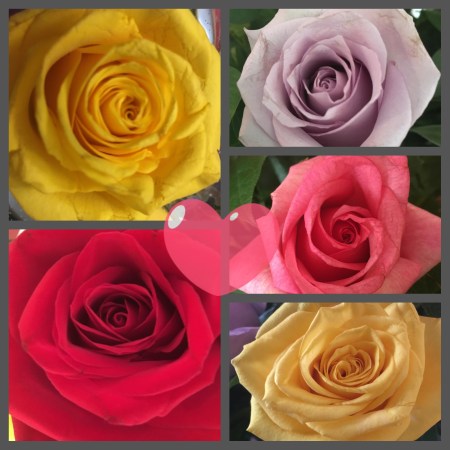 Mood Soothing Blooms